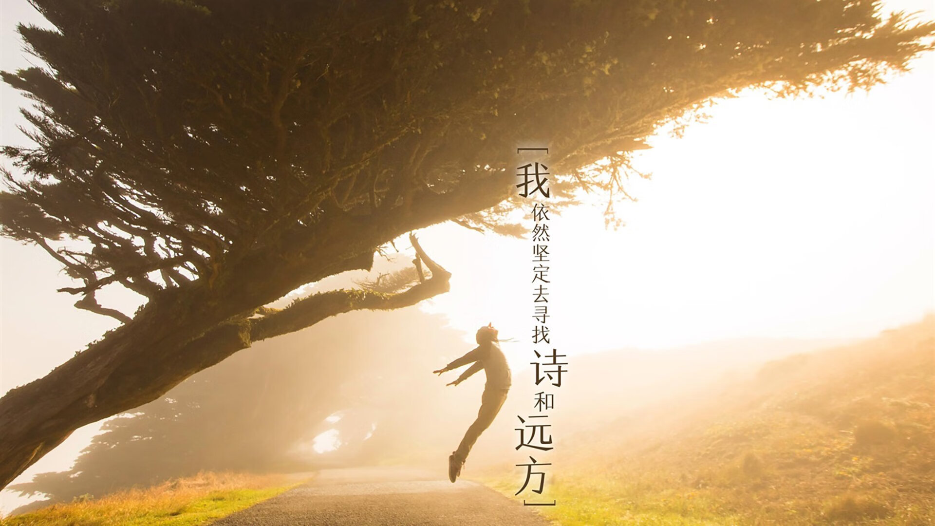 KAIYUNAPP-世界杯关键战:瞬间决定晋级命运的争夺,世界杯关机