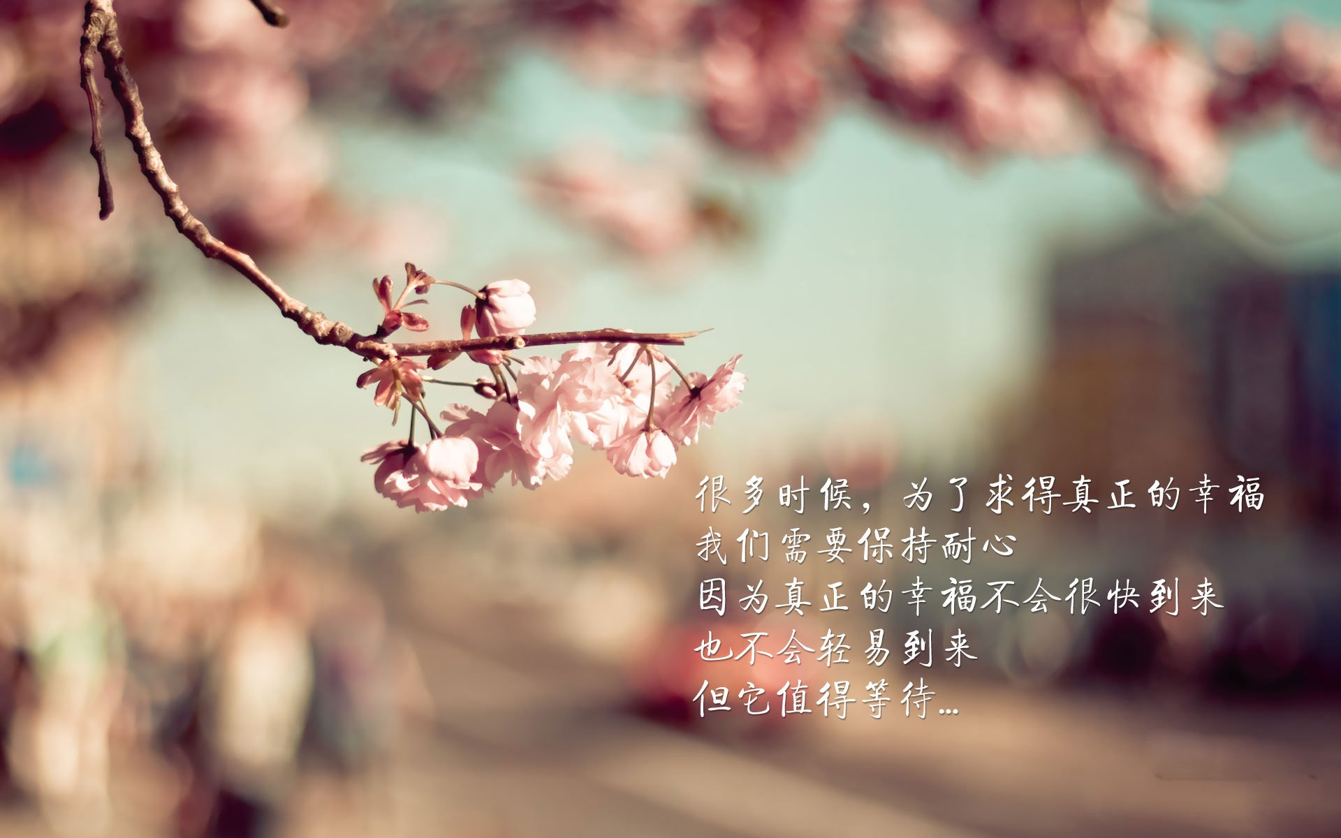 kaiyun中国官方网站-新西兰全黑队全员参与防守，形成强大防线，新西兰队长