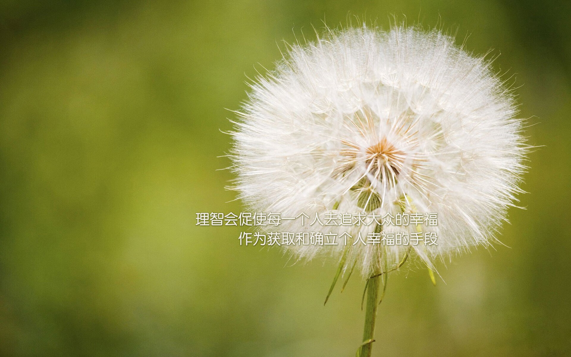 开云官网APP下载-水球小组赛韩国连胜不断,水球小组赛晋级规则