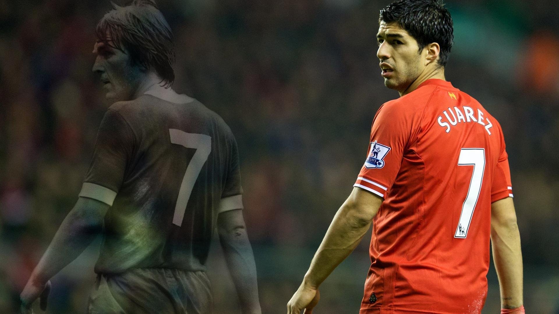 哥伦比亚马术协会引入智能马鞍系统,实现实时数据监测与分析,提升骑乘体验。